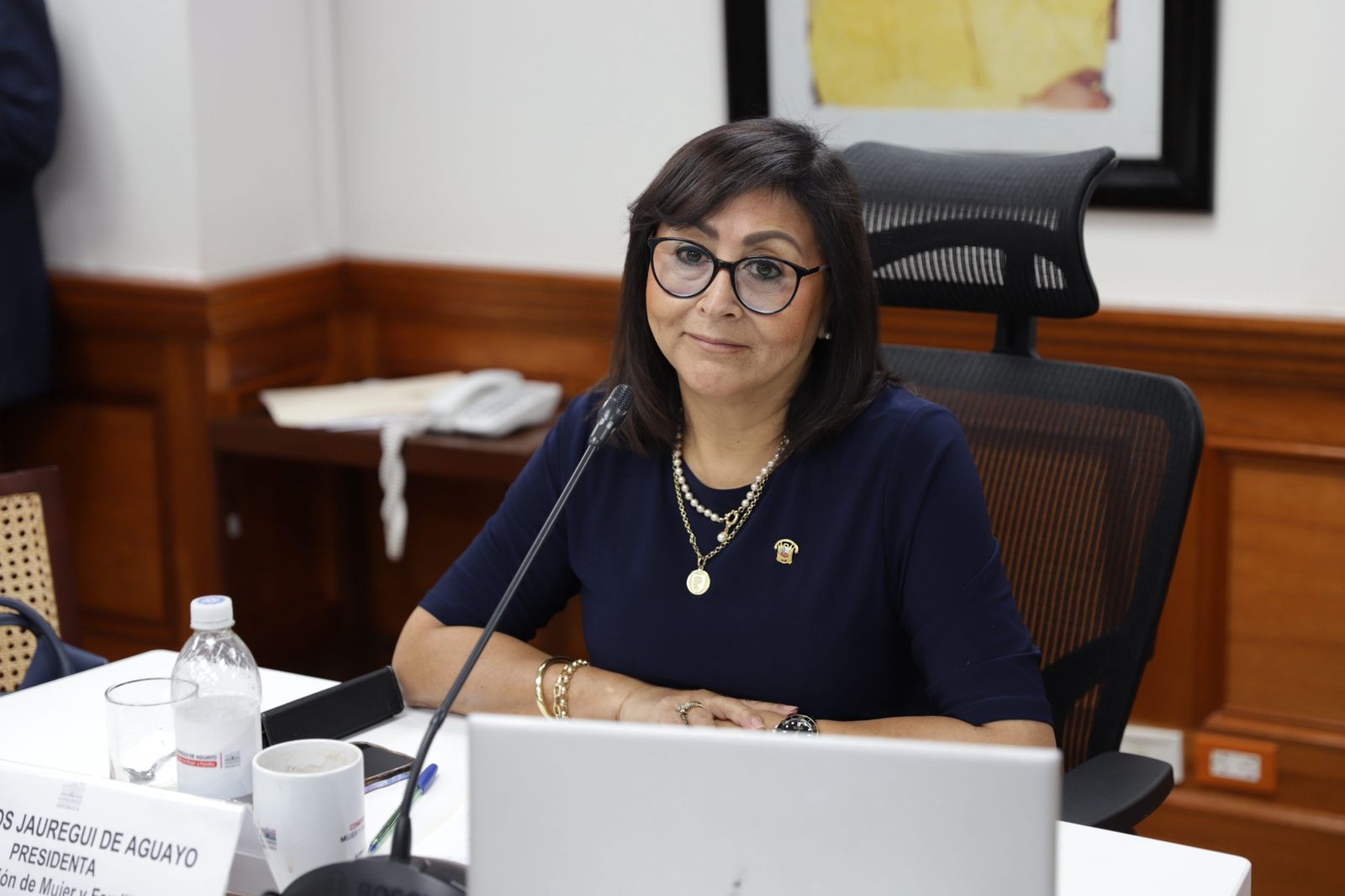 Foto de portada: Congreso de la República.